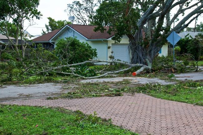 Siding Replacement Siding Replacement